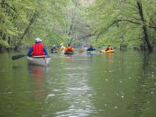 The Looking Glass River